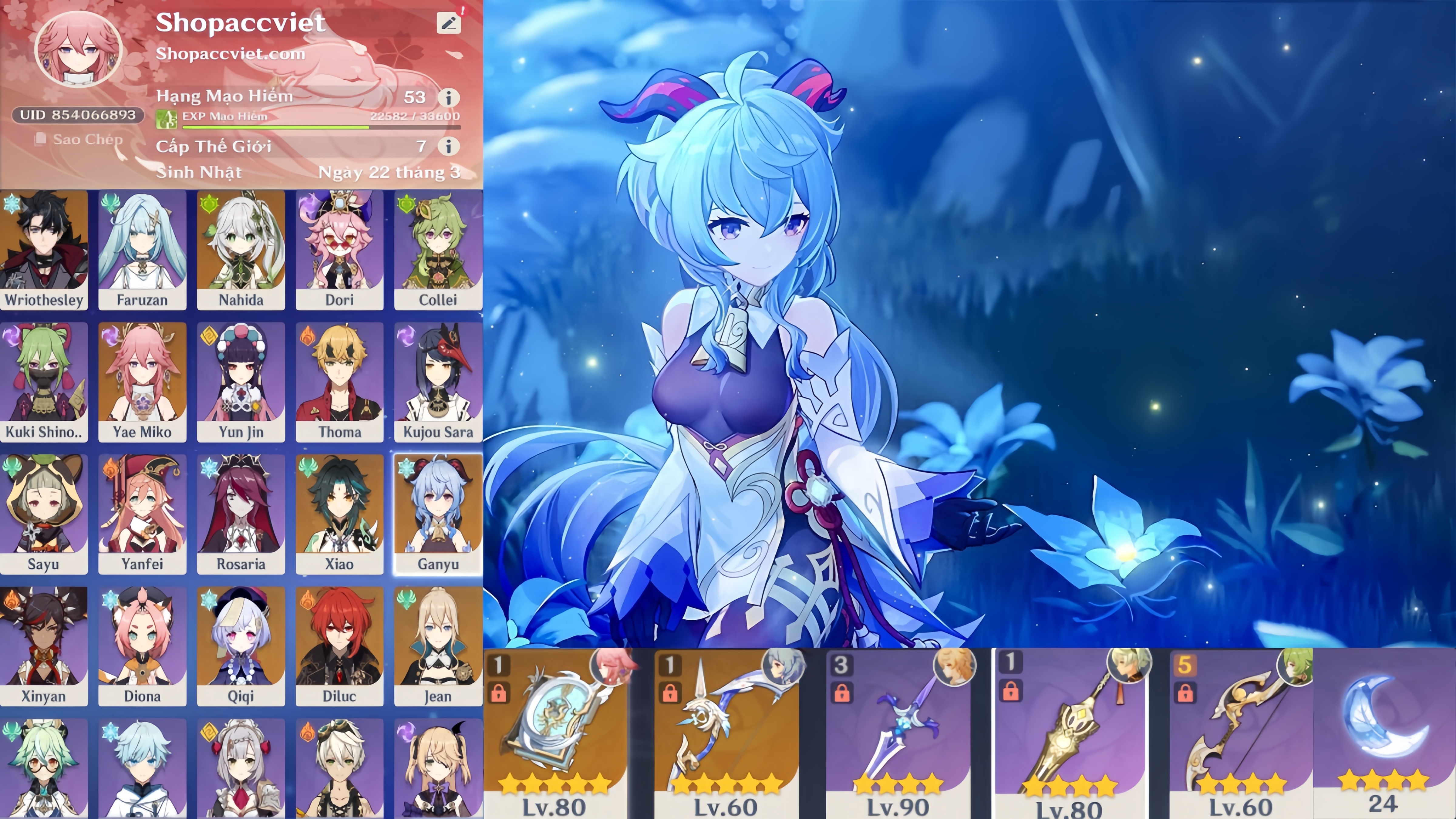 Account Preview
