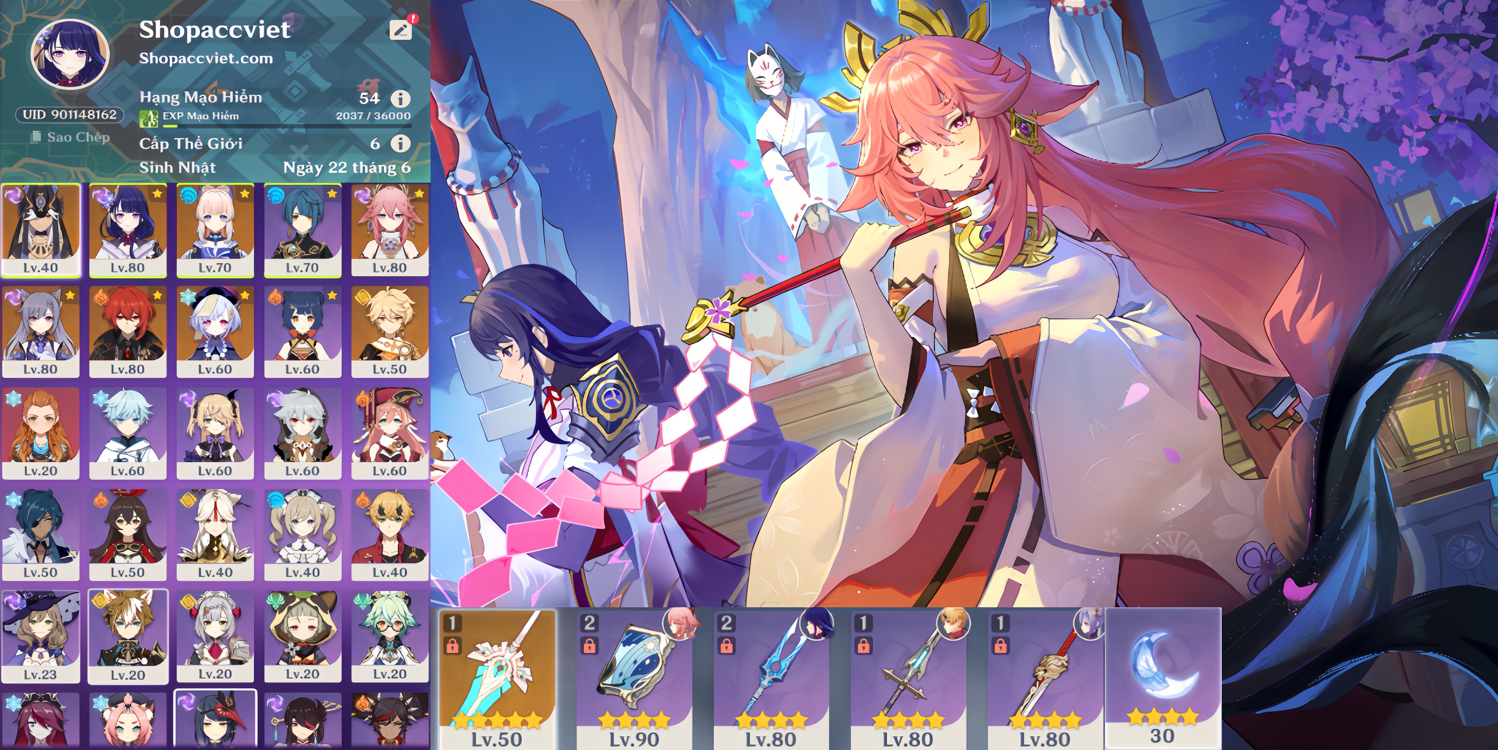 Account Preview