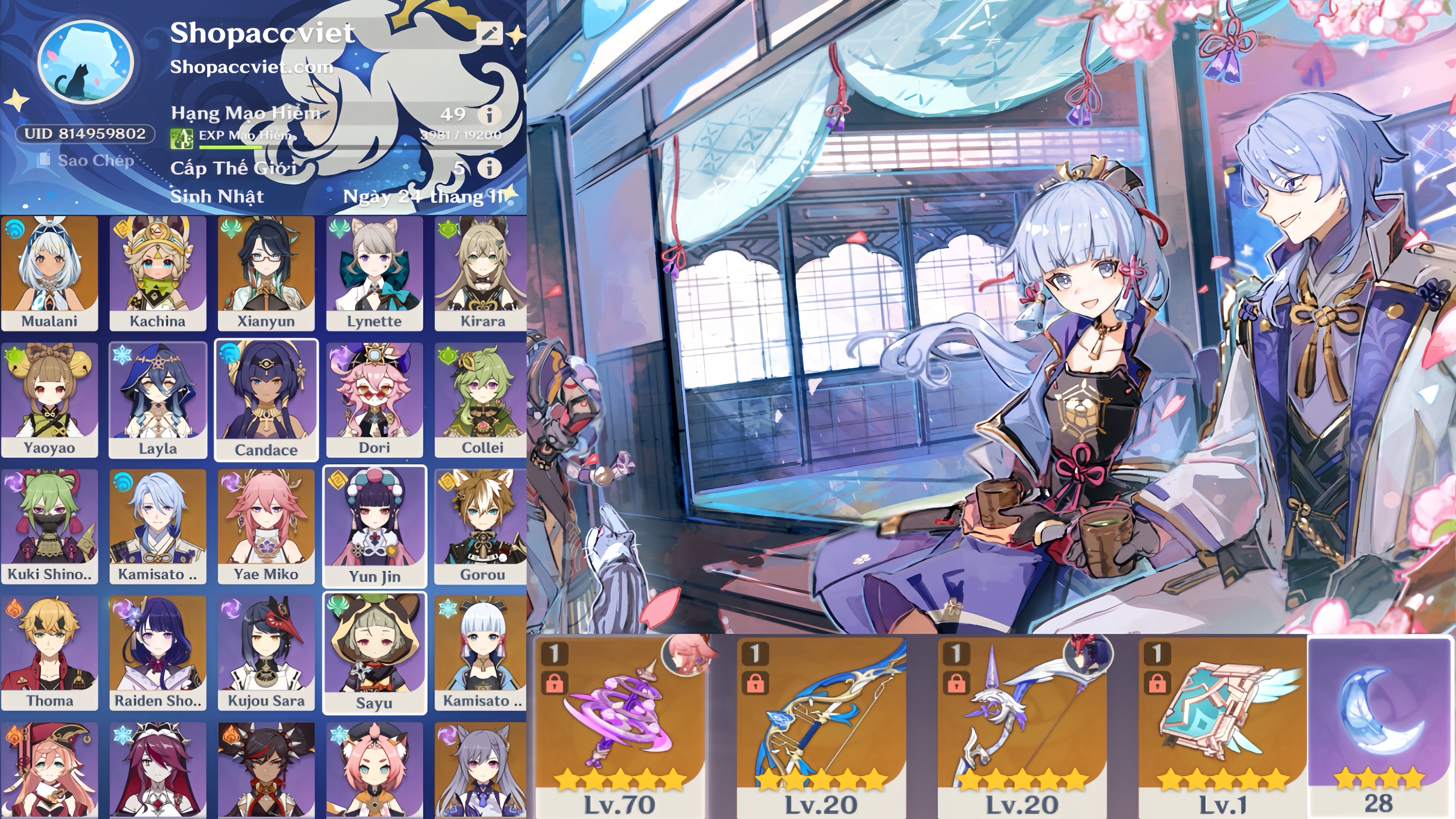 Account Preview